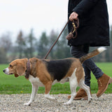 Laisse pour chien corde - Marron