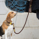 Distributeur de sacs Le Léopard